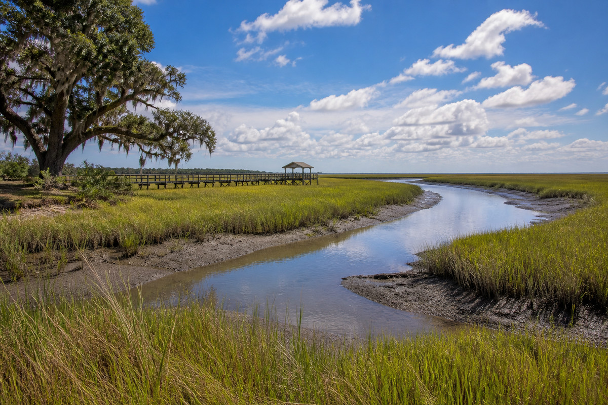 Tidal creek winding through Lowcountry spartina marsh with a live oak and a dock at low tide near Beaufort
